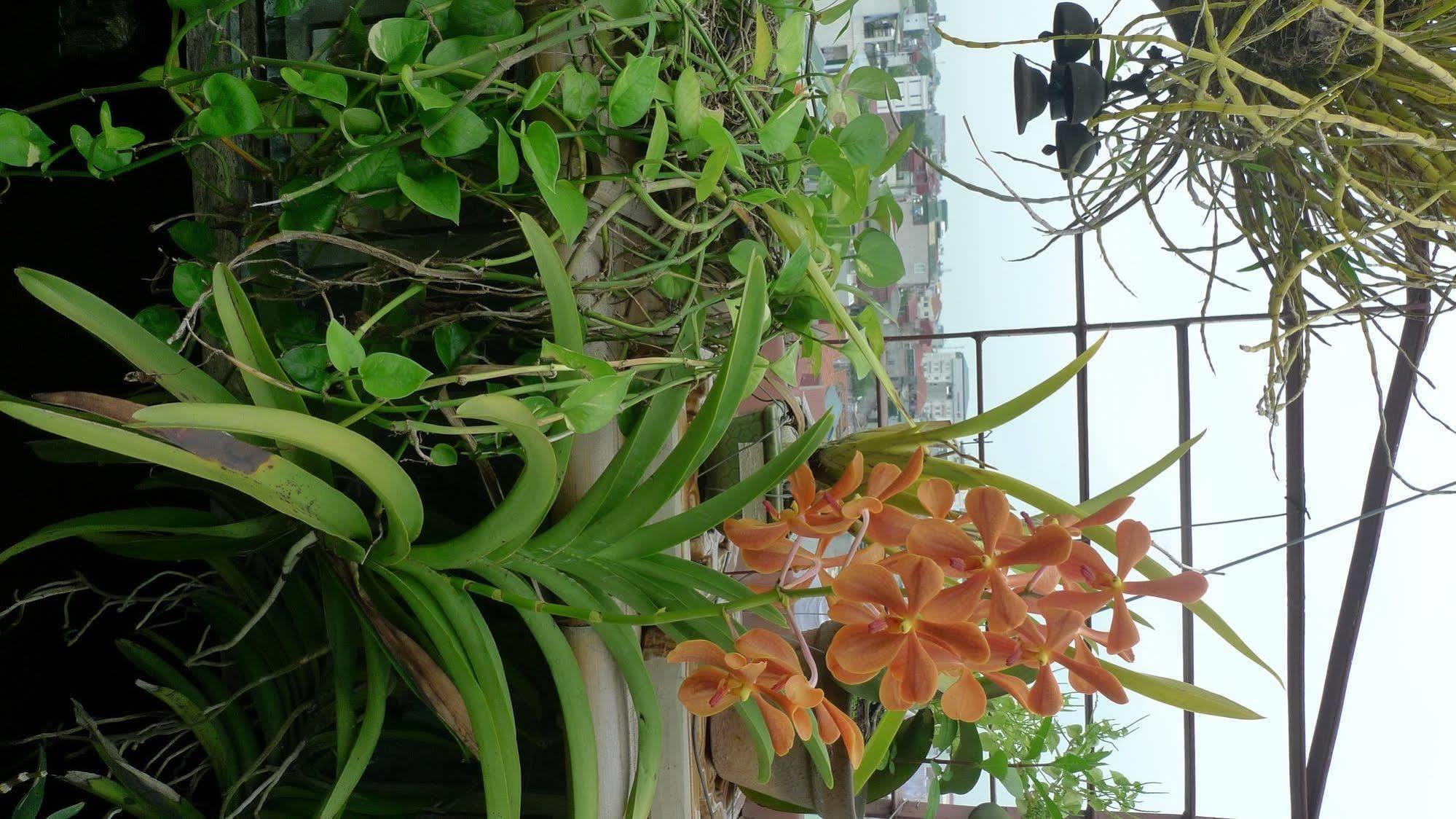 Hotel Garden Queen Ханой Екстериор снимка